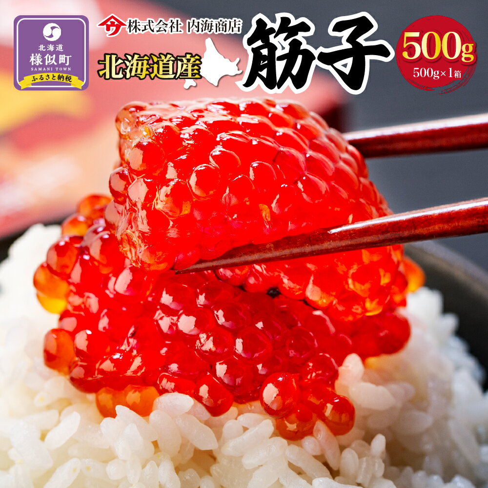 【ふるさと納税】【先行予約】筋子　500g×1箱　鮭卵 | 熟成 塩漬 すじこ 鮭卵 魚卵 新鮮 魚介 海の幸 海産物 ご飯のお供 おにぎり おつまみ 贈り物 贈答 ギフト 国産 北海道 様似町 冷凍 送料無料