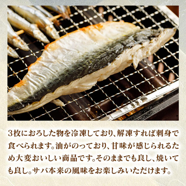 ひむか本サバの一夜干しとフィレのセット N025-YA4401_イメージ4