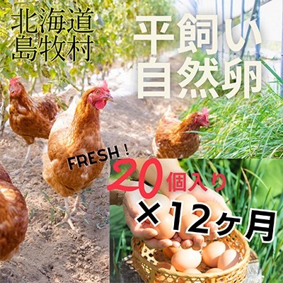 【毎月定期便】自然卵【ハッピーコッコちゃんたまご】20個入り(全12回)【配送不可地域：離島】