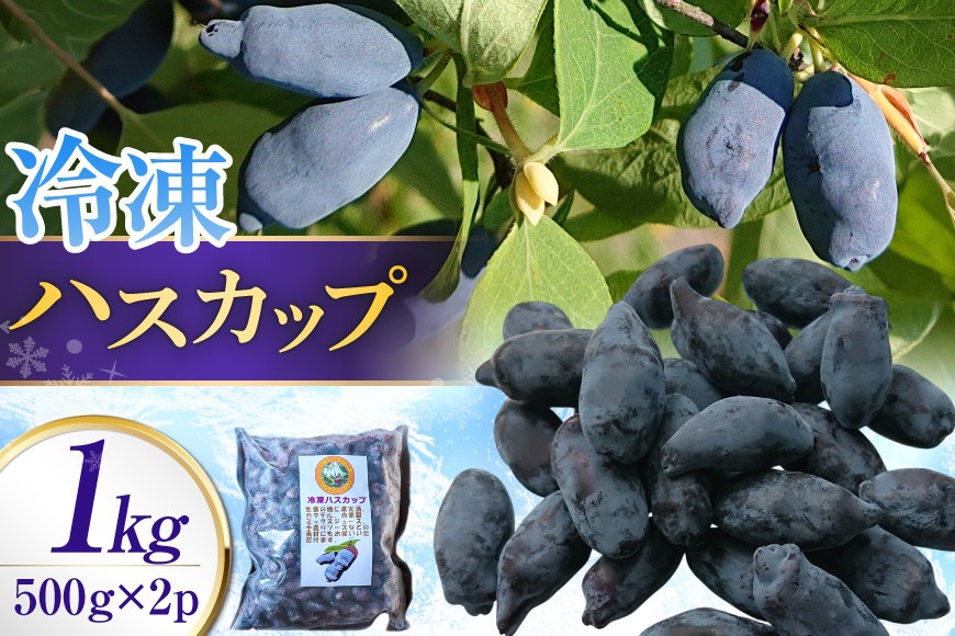 
                  ハスカップ 冷凍 500g × 2 計 1kg [ノーザン・ベリーズ 北海道 砂川市 12261005] フルーツ 果物 くだもの ジャム トッピング
                