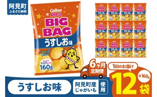 【6ヶ月定期便】カルビー ポテトチップス うすしお味 BIGBAG（160g）×12個｜Calbee お菓子 菓子 おやつ おかし ぽてち ポテチ スナック おつまみ ジャガイモ じゃがいも（93-57）