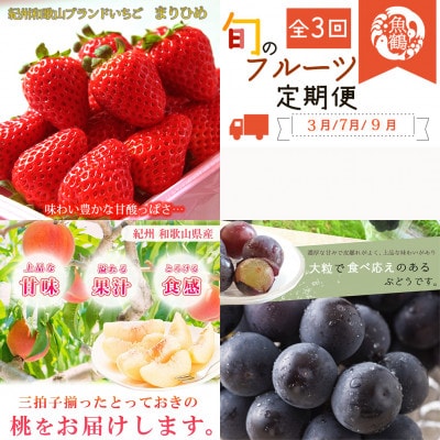 【発送月固定定期便】紀州和歌山産旬のフルーツセット(いちご・桃・ピオーネ)全3回【配送不可地域：離島・北海道・沖縄県】
