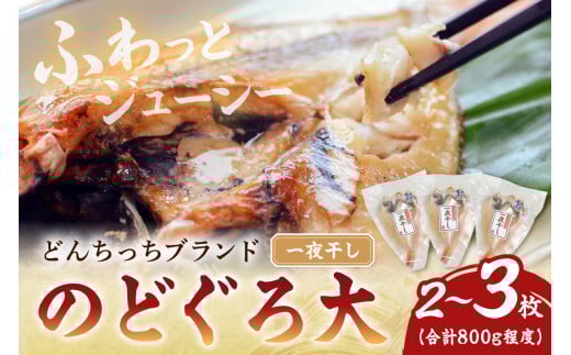 大きな「のどぐろ一夜干し（2～3枚）」 魚介類 魚貝類 魚 のどぐろ アカムツ 干物 干もの 一夜干し のどぐろ一夜干し 【136_0874】