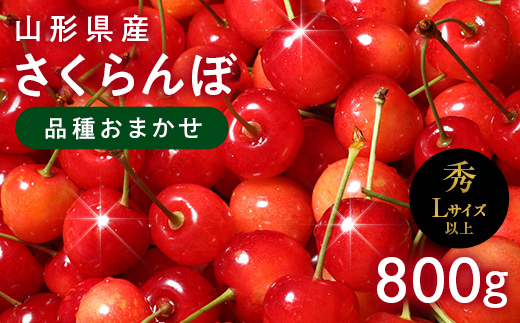 FYN6-253 ≪2026年先行予約≫山形県産 さくらんぼ 品種おまかせ(佐藤錦・紅秀峰など) 800g(400g×2) 秀/L以上 バラパック詰め 2026年6月中旬頃より発送 果物 くだもの フルーツ 夏果実 サクランボ チェリー 桜桃 高級 化粧箱 ギフト箱 贈り物 贈答 ギフト プレゼント 自宅 家庭 産地直送 山形県 西川町 月山