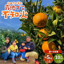 【ふるさと納税】【先行受付】山口さん家の露地でこ不知火 約5kg もしくは 約10kg L～3L大小混合サイズ ※梱包材、箱別の重量 不知火 しらぬい みかん ミカン 蜜柑 くだもの フルーツ 果物 宇城市産 熊本県産 九州産 国産 送料無料 【2025年2月上旬から3月下旬発送予定】