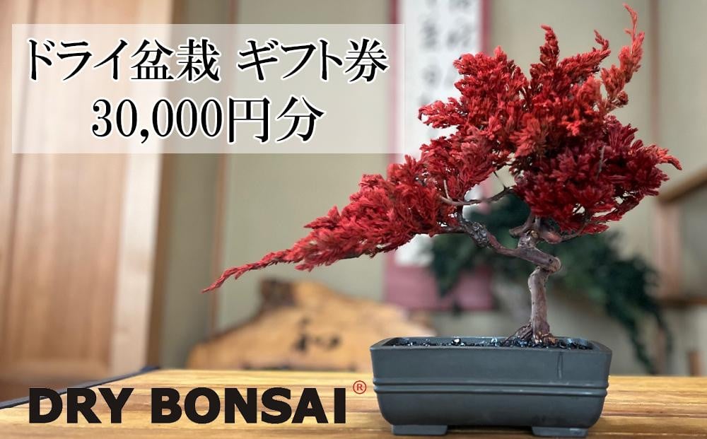 
【ドライ盆栽】ギフト券 30,000円分（ワークショップ・作品購入に使用可能）
