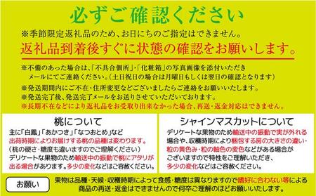 【定期便全2回】旬のフルーツ定期便 (ニューピオーネ シャインマスカット)【葡萄 ぶどう 旬 人気 フルーツ 果物 くだもの 香川県】