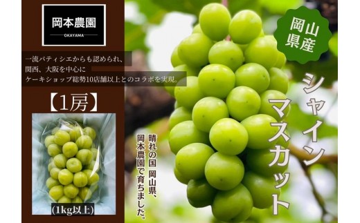 シャインマスカット　1房1.0kg | フルーツ 果物 くだもの 葡萄 ブドウ ぶどう シャインマスカット マスカット ギフト 贈答用 プレゼント 岡山 岡山県産 国産 フルーツ 果物 くだもの シャインマスカット マスカット おすすめ 人気 みずみずしい フレッシュ 温室栽培 晴れの国おかやま 果物大国 彩美菜果
