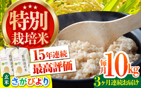 【先行予約】【全3回定期便】特別栽培米 さがびより 玄米 10kg [HAG019]特A米 特A評価 コメ 米