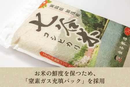 【令和7年産】【定期便3回毎月お届け】老舗米穀店が厳選 新潟県加茂市産コシヒカリ「七谷米」無洗米10kg（5kg×2）〈順次出荷〉 従来品種 金子米店