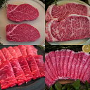 【ふるさと納税】【佐賀牛定期便】1頭まるごと佐賀牛の定期便 全12回：C389-003