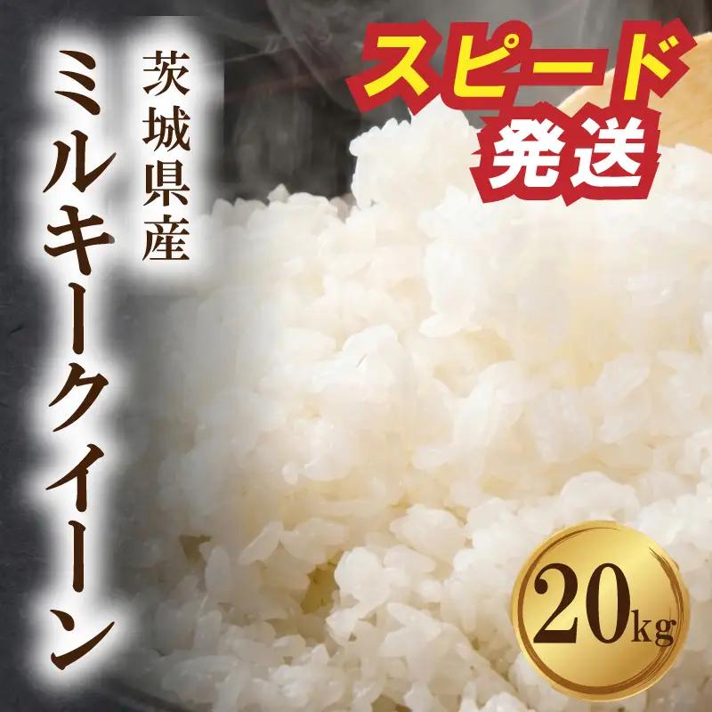 ミルキークイーン 20kg スピード発送 令和7年産 ミルキークイーン