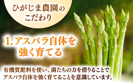 【先行予約 2027年3月～発送】春芽アスパラガス 約500g / アスパラ [ICW005]