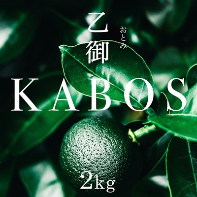 かぼす発祥の地臼杵市乙見・ブランドかぼす【乙御KABOS】２㎏　カボス 青果 柑橘