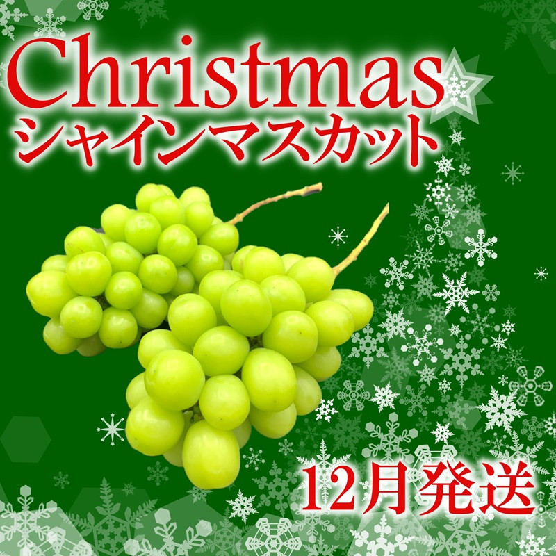 
冬季限定！！山梨県甲州市産 クリスマスシャインマスカット 1.0kg 2～3房【2024年発送】（HNT）C3-411
