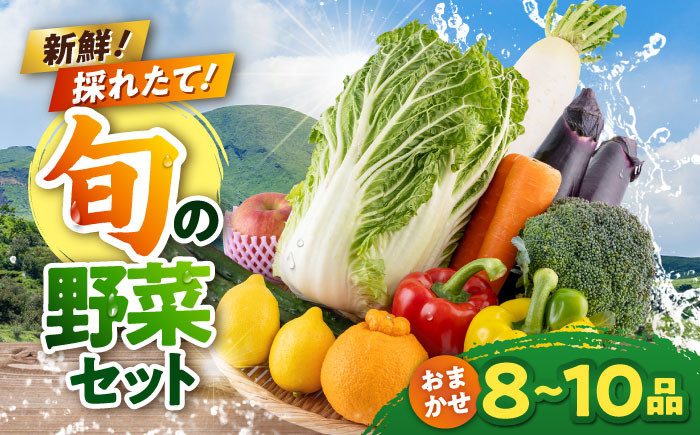 
            旬の野菜 おまかせ 詰め合わせ セット 8〜10品目【合志物産販売 志来菜彩】 [AYCA001]
          