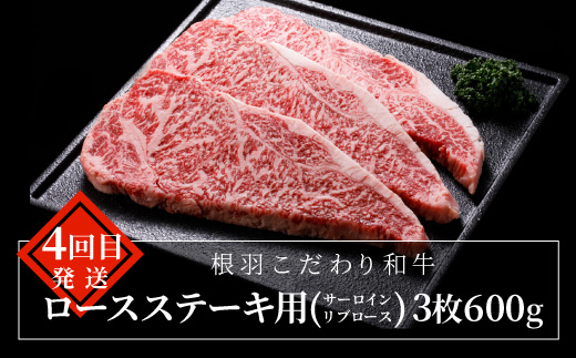 毎年大人気！【全7回 定期便】国産黒毛和牛 定期便限定 赤身ステーキ入り ステーキ尽くし ステーキ定期便！