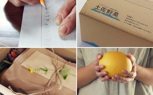 【土佐野菜】野菜の詰め合わせと無農薬生姜100g付き【セット 新鮮 野菜  人気 おすすめ 高知県 南国市】