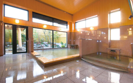 温泉入浴券 大谷の湯 日帰り温泉 入浴券 12枚【社会福祉法人青生会】[BHCM002]