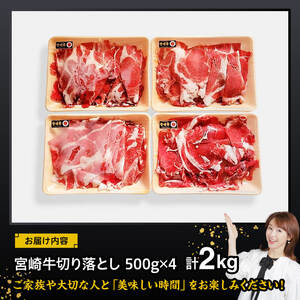 宮崎牛 切り落とし2kg（500g×4パック） 【 国産 宮崎県産 黒毛和牛 】