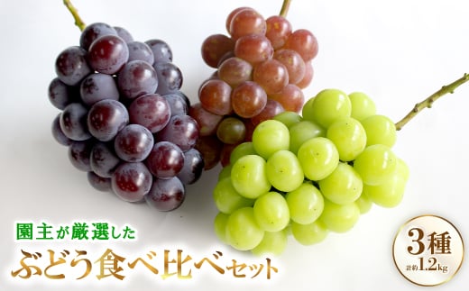 
            厳選 3種類のぶどう食べ比べセット【1482869】
          
