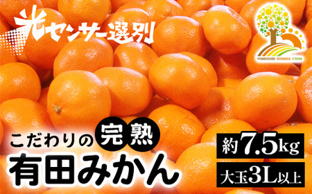 有田みかん 約7.5kg 大玉3L以上 有機質肥料100% ＼光センサー選別／ 農家直送 ※北海道・沖縄・離島への配送不可 ※2025年11月中旬～2026年1月上旬頃に順次発送予定