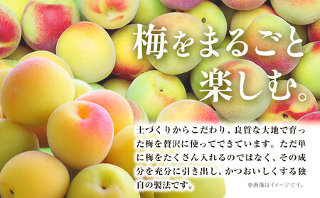 CHOYA 酔わない ウメッシュ ノンアルコール 350ml × 24本 羽曳野商工振興株式会社《30日以内に出荷予定(土日祝除く)》大阪府 羽曳野市 送料無料 梅酒 CHOYA チョーヤ梅酒 お酒 