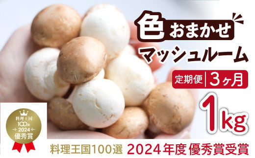 岩手県産 八幡平マッシュルーム1kg 色はおまかせ 3ヶ月定期便 ／ジオファーム きのこ 料理 キノコ 茸