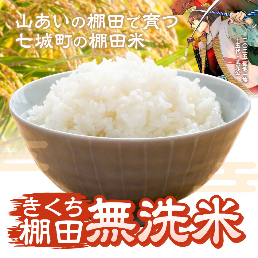 令和7年産 きくち棚田無洗米 10kg ひのひかり《30日以内に出荷予定(土日祝除く)》熊本県 菊池市 米 こめ ヒノヒカリ お米 ブランド米 単一原料米 菊池