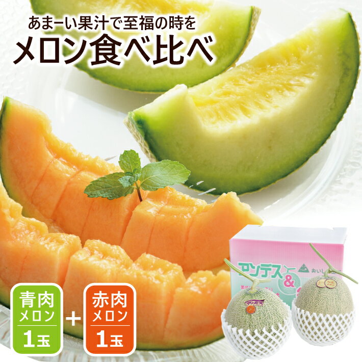 【ふるさと納税】美味しいメロン食べ比べ 青肉メロン 赤肉メロン 秀品 大玉 3L 各1玉 6月下旬〜7月下旬頃お届け ※着日指定不可 アンデス アンデスメロン グレース キスロマン ルピア クインシー メロン 青 赤 くだもの 果物 食べ比べ 夏 酒田 庄内砂丘