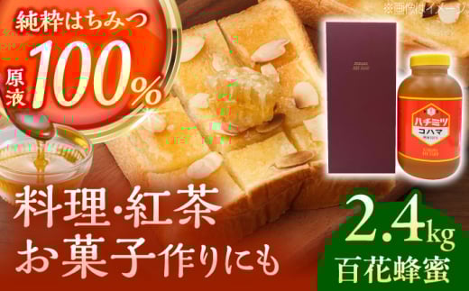 コハマのハチミツ 百花蜂蜜 2.4kg×1本 蜂蜜 はちみつ ハチミツ 国産 ギフト 沖縄市 / 農業生産法人株式会社小浜養蜂場 [BCAQ006]