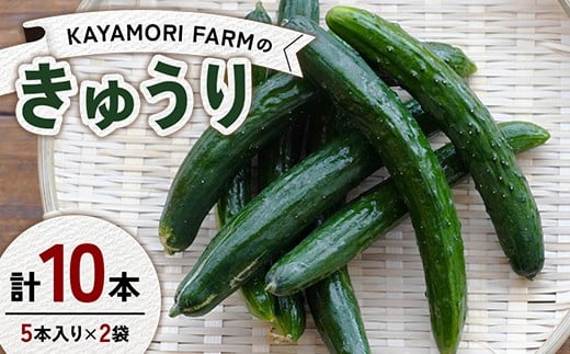
            KAYAMORI FARMのきゅうり 計10本（5本入り×2袋） F6U-371
          