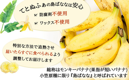 【先行予約 2026年5〜10月順次発送】バナナ好きに届けたい！！完全無農薬栽培 もっちり食感がやみつきの希少な国産『プレミアム島ばなな』贅沢に1房丸ごと約1.5-2kgお届け！！