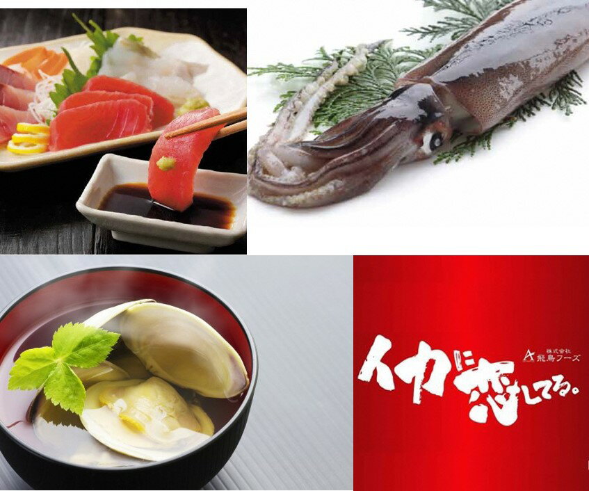 【ふるさと納税】イカ 魚介類 水産加工品「イカに恋してる。新鮮ないかとお出汁の詰め合わせセットB 」おすすめ 工場直送 贈答用 贈答 醤油 するめ いか スルメイカ 刺身 海鮮 フライ イカ焼き かつお カツオ だし 出汁 贈り物 新潟 見附市 送料無料