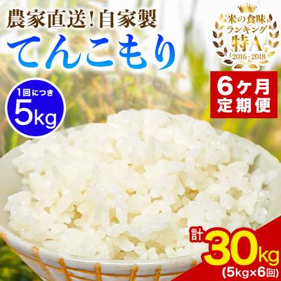ふるさと納税 伊勢原市 【発送月固定定期便】11月下旬から出荷予定　合計30kg 精米 てんこもり5kg全6回