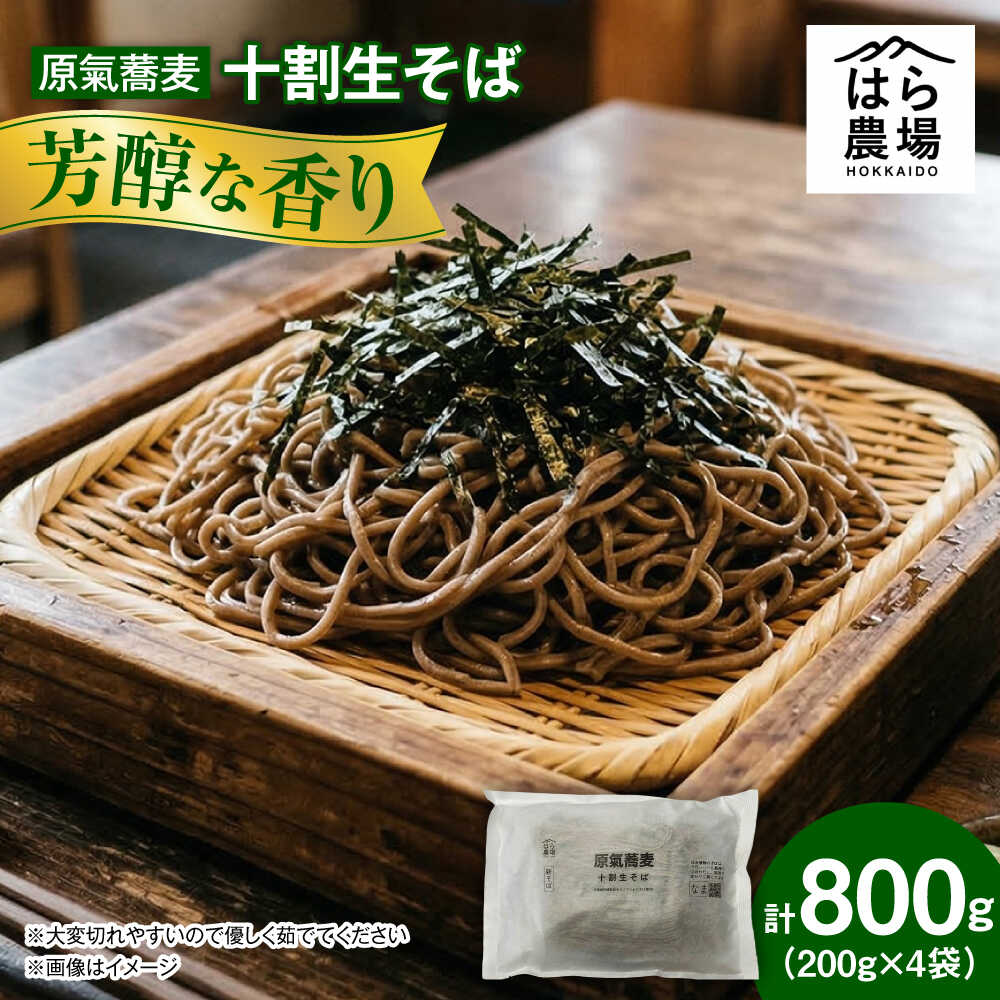 【ふるさと納税】【お中元ギフト】原氣蕎麦 十割生そば4袋 | はら農場[BNAG005]