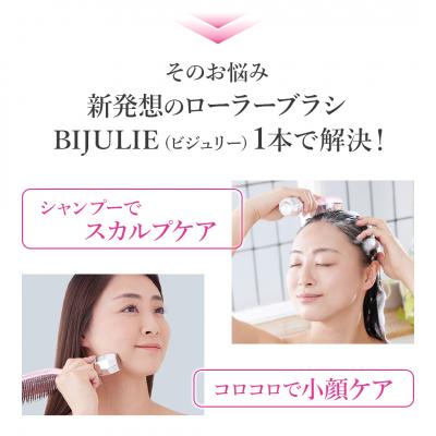 ふるさと納税 八尾市 スカルプブラシ　ビジュリー/ E160 |  | 01