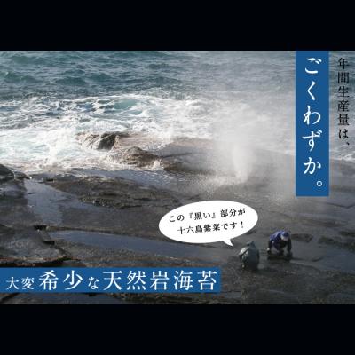 ふるさと納税 出雲市 【希少】天然岩のり　十六島海苔(うっぷるいのり)【1_4-033】 |  | 01
