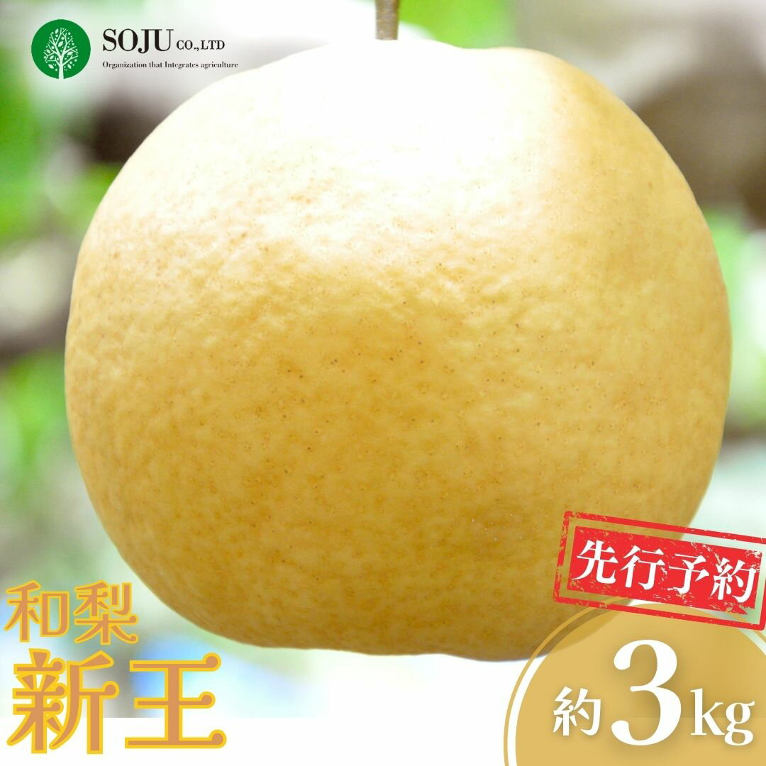 【ふるさと納税】先行予約 新潟オリジナル和梨 新王 約3kg 令和8年度 新潟県 三条市産 [三条果樹専門家集団]【016P041】