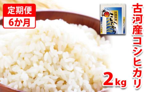 【新米】【定期便 6か月】令和6年産 古河市産コシヒカリ 2kg◇ | 米 こめ コメ 2キロ 定期便 こしひかり コシヒカリ 古河市産 茨城県産 贈答 贈り物 プレゼント 茨城県 古河市 直送 産地直送 送料無料 _DP29