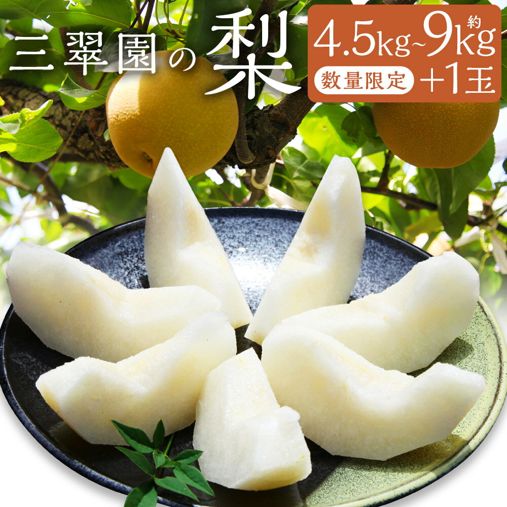 【ふるさと納税】＜選べる内容量＞【数量限定】三翠園の梨 4.5kg+1玉・9.0kg+1玉 梨 なし ナシ くだもの 果物 果実 フルーツ 幸水 豊水 二十世紀 あきづき 新高 新興 冷蔵 福岡県産 国産 福岡県 嘉麻市 送料無料 【2026年8月上旬～12月上旬迄順次発送予定】