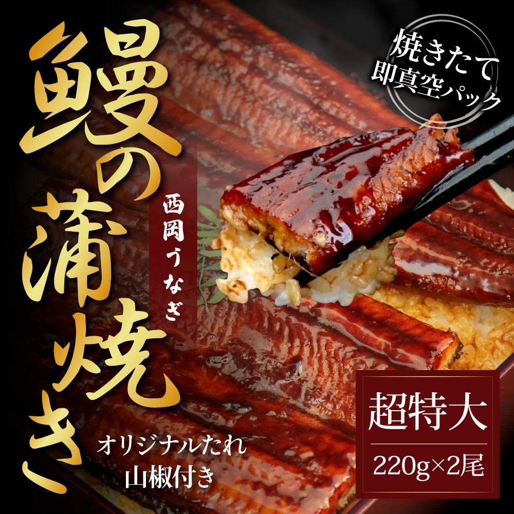 
本気の高知ブランド鰻「西岡うなぎ」～超特大サイズ～うなぎの蒲焼き2尾セット（約440g）タレ山椒付き ＃食べて応援
