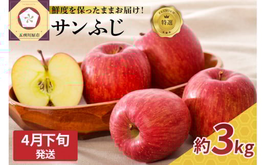 【2026年4月下旬発送】特選 りんご サンふじ 3kg （スマートフレッシュTM貯蔵またはCA貯蔵）リンゴ 林檎 青森りんご お取り寄せ ご当地 特産 季節 冬 果汁 アップル 2025年産 令和7年産 先行予約 ランキング 旬 送料無料 贈答用 ふじ サンふじりんご 3キロ 五所川原 青森 東北 果物 フルーツ