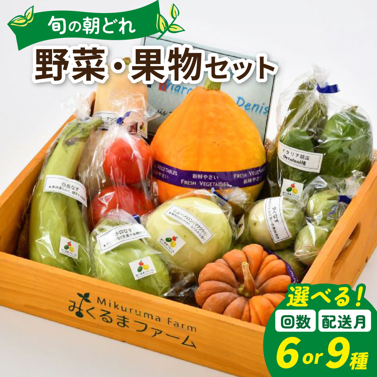 【ふるさと納税】【選べる回数1～3回】【選べる種類 6種類セット・9種類セット】朝どれ 旬な野菜 果物セット【1回単発便】【2～3回定期便】【お届け対象月 5月,8月,11月】/ 農薬・化学肥料不使用