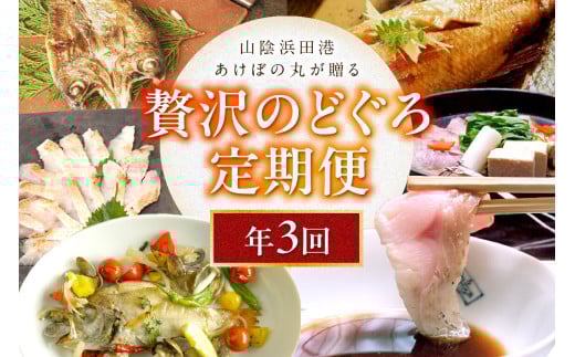 山陰浜田港あけぼの丸が贈る贅沢のどぐろ定期便（３回）魚介 のどぐろ アカムツ 一夜干し 刺し身 のどぐろしゃぶセット セット しゃぶしゃぶ 定期便 定期 3回 【146_1888】