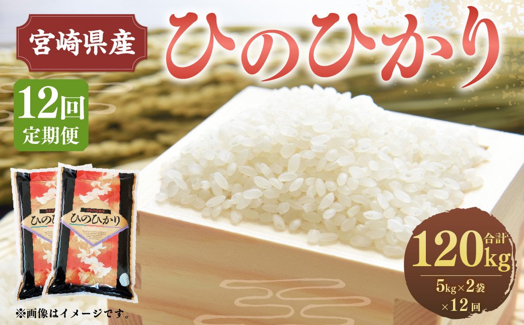 
＜12ヶ月定期便 宮崎県産 ひのひかり 10kg＞お申込みの翌月下旬頃に第一回目発送（12月は中旬頃）
