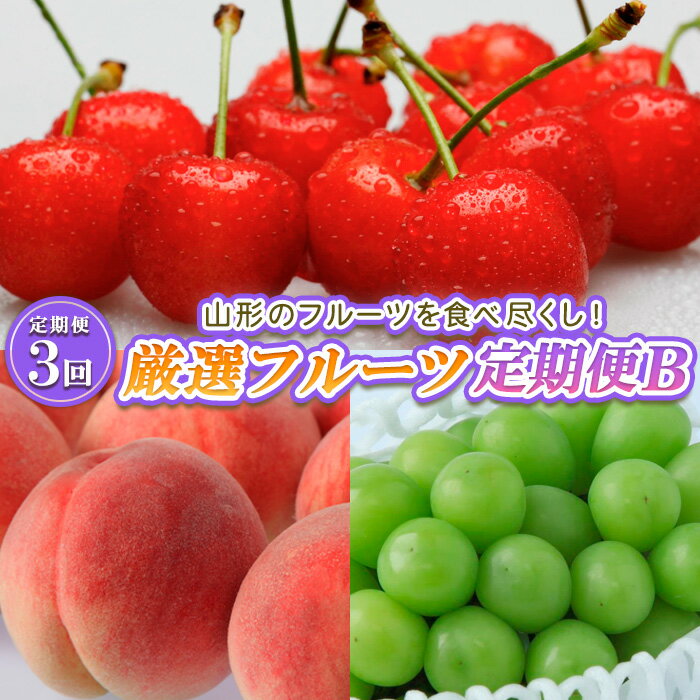 【ふるさと納税】【定期便3回】山形のフルーツを食べ尽くし！厳選フルーツ定期便B 【令和7年産先行予約】FS23-858 くだもの 果物 フルーツ 山形 山形県 山形市 お取り寄せ 2025年産