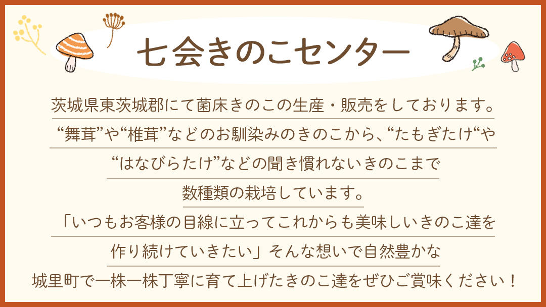 《 ３ヶ月 連続定期便 》 きのこ の 詰め合わせ Sサイズ 約1kg （茨城県共通返礼品 城里町） 定期便 キノコ 舞茸 あわび茸 たもぎ茸 しいたけ ぶなしめじ セット 鍋 炒め物 [CX005s