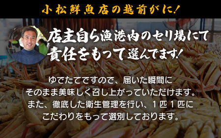 【期間限定】≪浜茹で≫ 越前産水がに中サイズ　6肩（1.05ｋg以上)　脱皮したてのずわいがに雄【雄 ズワイガニ ずわいがに 姿 ボイル 冷蔵 福井県】【3月発送】 [e23-x011] 希望日指定可