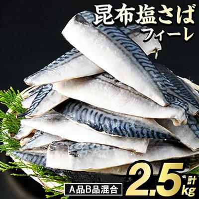 ふるさと納税 阿久根市 訳あり!昆布塩さばフィーレ A品B品混合 約2.5kg【グローバルフーズ】